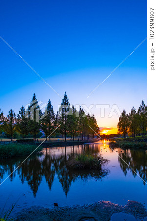 打上川治水緑地の夕陽 102399807