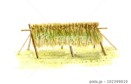 はぜ掛け、掛け干し米の水彩画 はぜ掛け、掛け干し米の水彩画 102399810