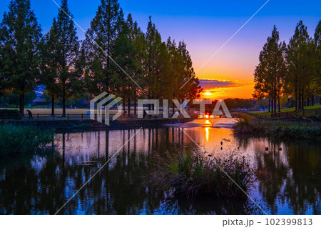 打上川治水緑地の夕陽 打上川治水緑地の夕陽 102399813