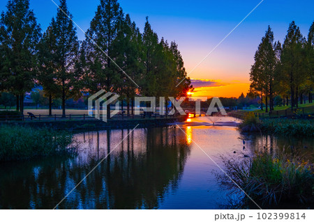 打上川治水緑地の夕陽 打上川治水緑地の夕陽 102399814