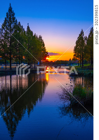 打上川治水緑地の夕陽 102399815