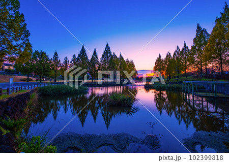 打上川治水緑地の夕陽 打上川治水緑地の夕陽 102399818