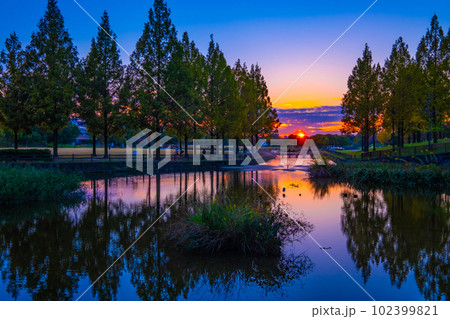 打上川治水緑地の夕陽 102399821