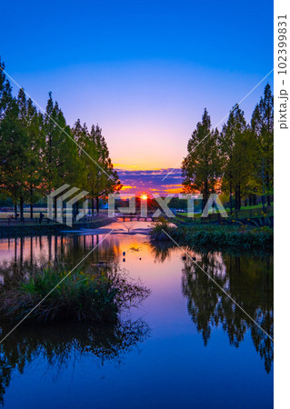 打上川治水緑地の夕陽 102399831