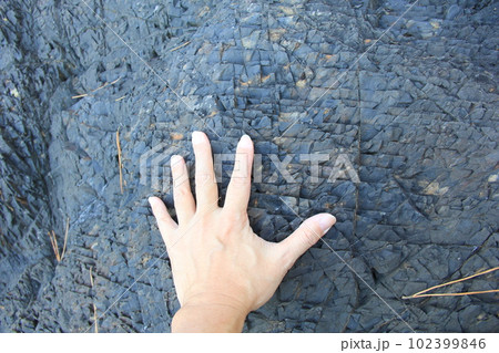 岩/鱗状に細かくヒビが入っている岩場に左手を当てている様子 102399846