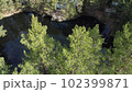 Lake surrounded by trees. Beautiful landscape in aerial drone shot. 102399871