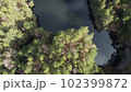 Lake surrounded by trees. Beautiful landscape in aerial drone shot. 102399872
