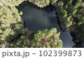 Lake surrounded by trees. Beautiful landscape in aerial drone shot. 102399873