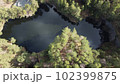 Lake surrounded by trees. Beautiful landscape in aerial drone shot. 102399875