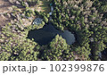 Lake surrounded by trees. Beautiful landscape in aerial drone shot. 102399876