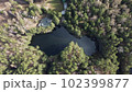 Lake surrounded by trees. Beautiful landscape in aerial drone shot. 102399877