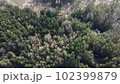 Lake surrounded by trees. Beautiful landscape in aerial drone shot. 102399879