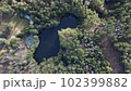 Lake surrounded by trees. Beautiful landscape in aerial drone shot. 102399882
