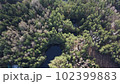 Lake surrounded by trees. Beautiful landscape in aerial drone shot. 102399883