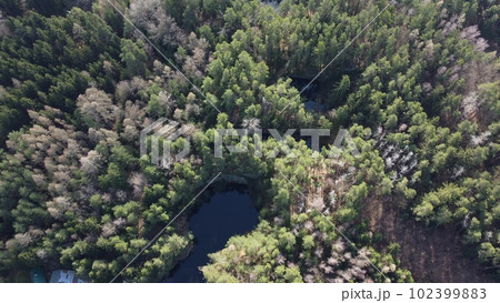 Lake surrounded by trees. Beautiful landscape in aerial drone shot. 102399883