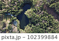 Lake surrounded by trees. Beautiful landscape in aerial drone shot. 102399884