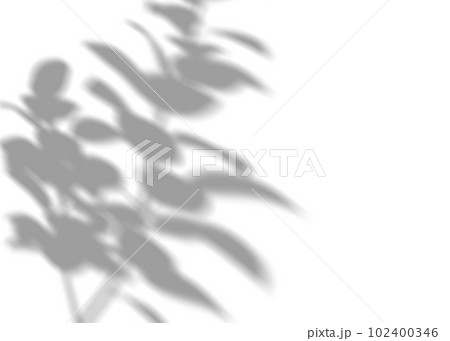 Shadow from plants, leaves, overlay effect. Realistic gray shadow on white background. Applicable for product presentation, photos, backdrop. Sun light. 3D render. Shadow from plants, leaves, overlay effect. Realistic gray shadow on white background. Applicable for product presentation, photos, backdrop. Sun light. 3D render. 102400346