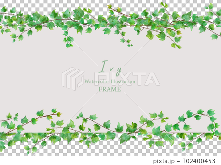 常春藤葉的水彩插圖框架 常春藤葉的水彩插圖框架 102400453