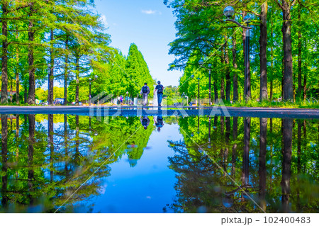 鶴見緑地　水鏡の並木道 102400483