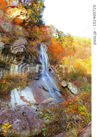 面白山紅葉川渓谷 紅葉 黄葉 面白山紅葉川渓谷 紅葉 黄葉 102400720