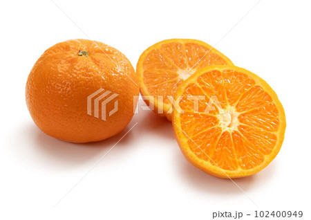 アメリカ産柑橘類のWマーコット 102400949