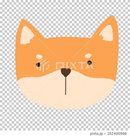 cute shiba inu dog 102400986