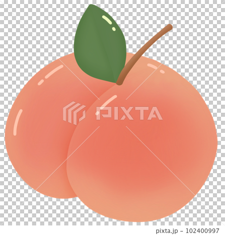 little cute peach peachy juicy fruit 102400997