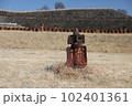 群馬県高崎市保渡田古墳群八幡塚古墳と埴輪 102401361