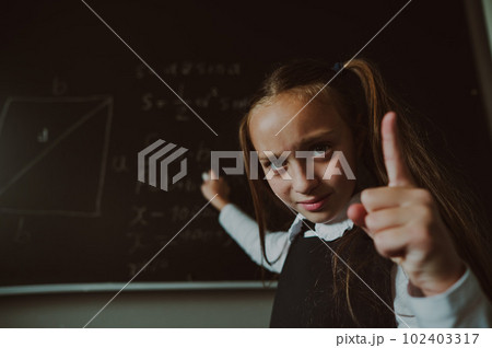 Portrait of a caucasian girl in the classroom. The schoolgirl writes the formula with chalk on the blackboard and looks into the camera. Portrait of a caucasian girl in the classroom. The schoolgirl writes the formula with chalk on the blackboard and looks into the camera. 102403317
