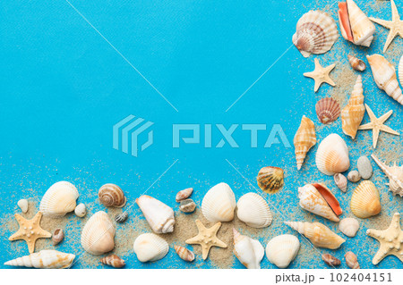 Summer time concept Flat lay composition with beautiful starfish and sea shells on colored table, top view 102404151