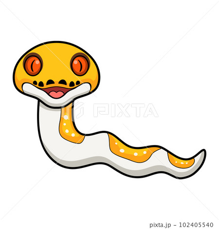 Cute albino pied reticulated python cartoon 102405540