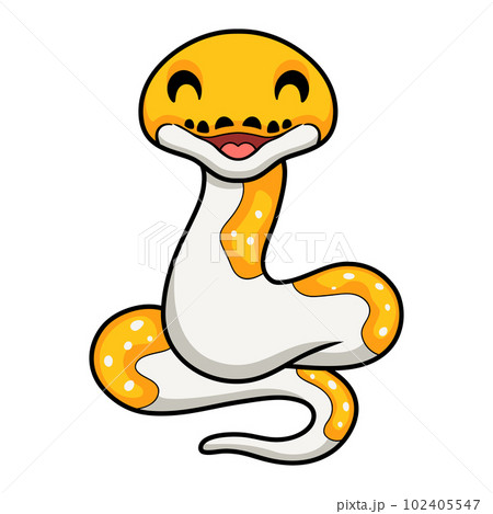 Cute albino pied reticulated python cartoon Cute albino pied reticulated python cartoon 102405547