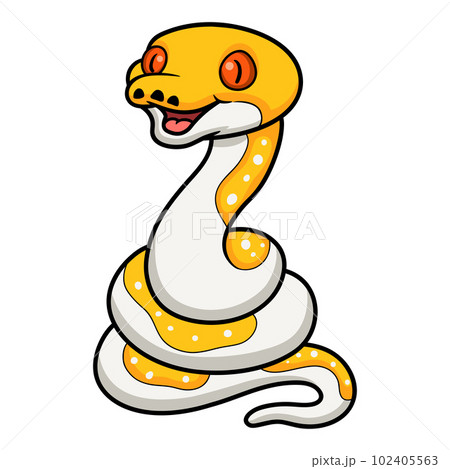 Cute albino pied reticulated python cartoon 102405563