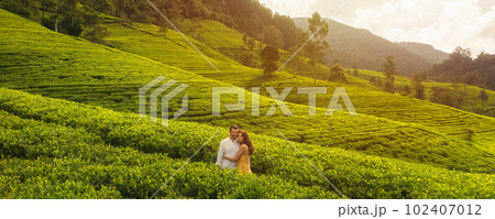 Aerial View of Green Tea Plantations Landscape with Couple of Travelers in Love Aerial View of Green Tea Plantations Landscape with Couple of Travelers in Love 102407012
