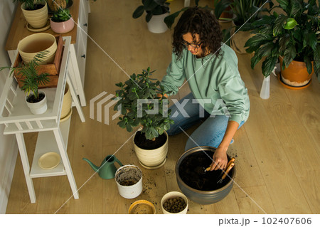 Woman grows potted plants at home watering and take care flowers - gardening and houseplant care concept 102407606