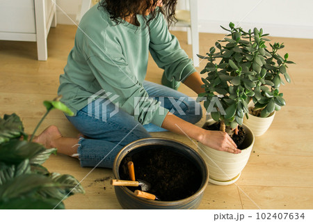 Woman grows potted plants at home watering and take care flowers - gardening and houseplant care concept 102407634