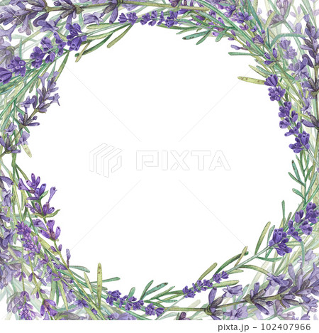 Square frame with lavender and a place for the text. Watercolor illustration of Provencal flowers. French style. Aromatherapy. Botanical illustration of flowers. Suitable for postcards, packages. 102407966