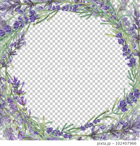 Square frame with lavender and a place for the text. Watercolor illustration of Provencal flowers. French style. Aromatherapy. Botanical illustration of flowers. Suitable for postcards, packages. 102407966
