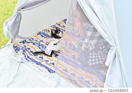 テントの中でチワワと遊ぶ女性 ピクニック キャンプ テントの中でチワワと遊ぶ女性 ピクニック キャンプ 102408861