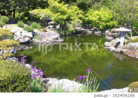 【鹿児島県】晴天の名勝 仙巌園(島津の庭園) 【鹿児島県】晴天の名勝 仙巌園(島津の庭園) 102409286