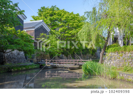 近江八幡・八幡掘 102409398