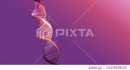 DNA double helix model on a purple background. DNA double helix model on a purple background. 102409620