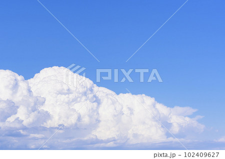 真っ青な夏空で高さを増しつつある入道雲 102409627