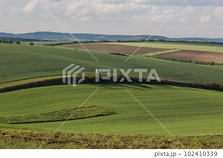 Field waves with trees in the spring in South Moravia, Czech Republic 102410339