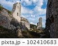 Abandoned ruins of medieval Plavecky castle in Slovakia 102410683