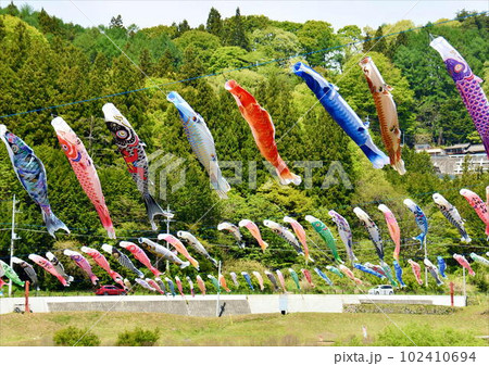 初夏の大空に無数のコイが舞う 102410694