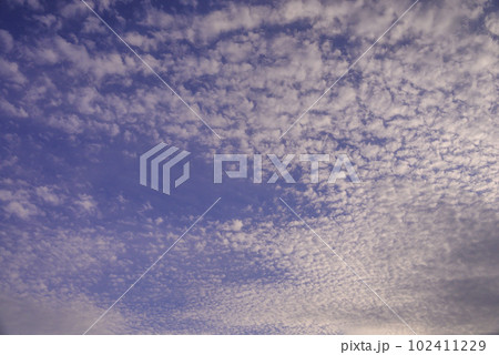 夕暮れのうろこ雲 102411229