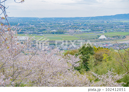 東光山公園の桜と出水市の街並み 東光山公園の桜と出水市の街並み 102412051