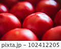 トマト 102412205