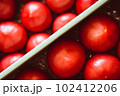 トマト 102412206